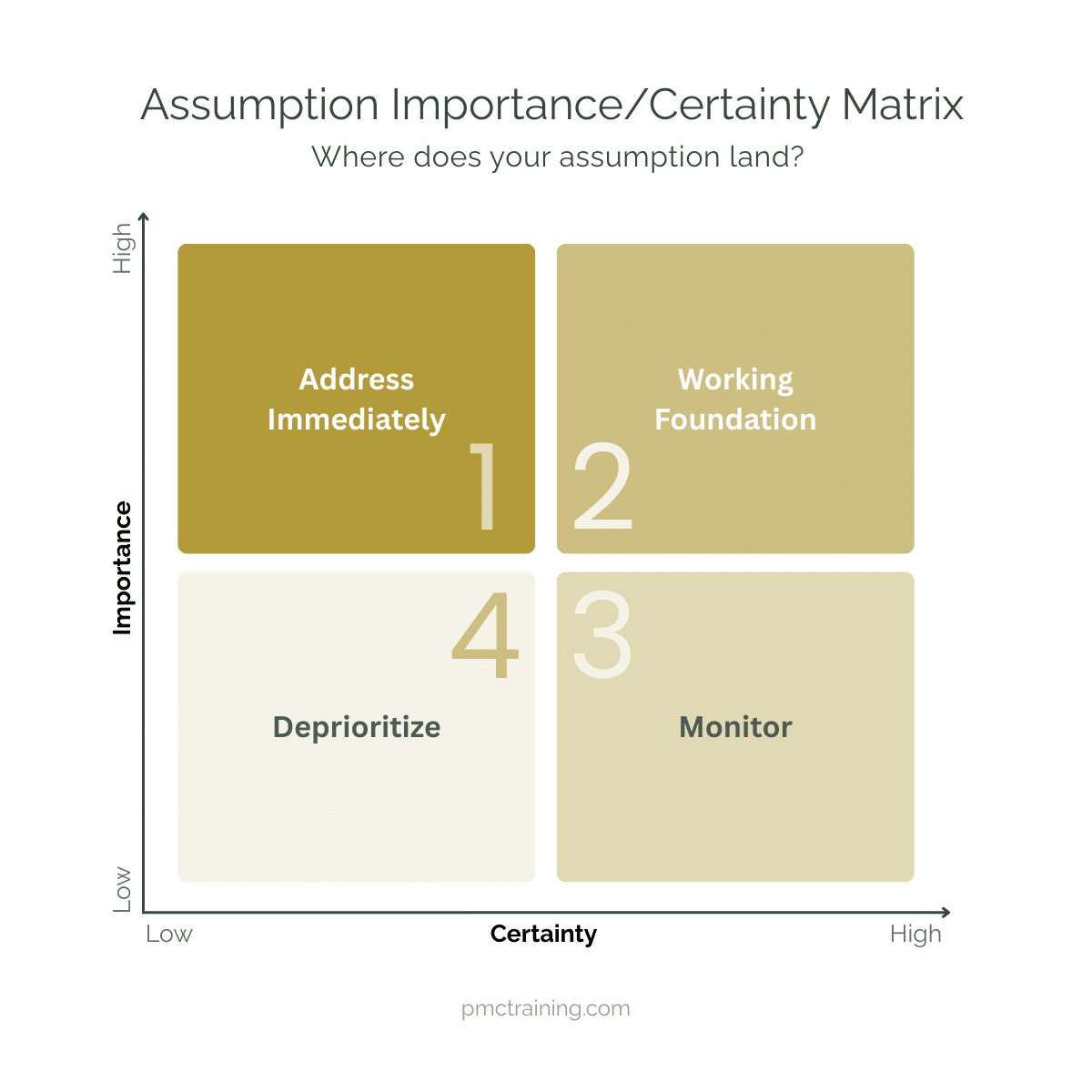 Assumptions in Decision Making: How to Know What You Don't Know | PMC ...