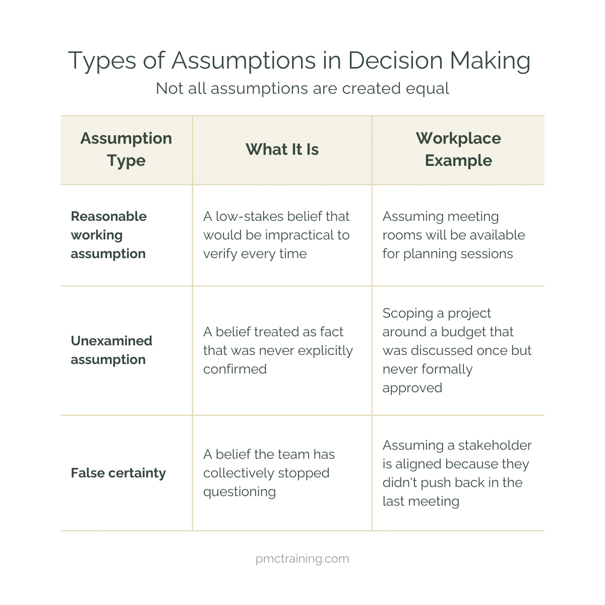 Assumptions in Decision Making: How to Know What You Don't Know | PMC ...